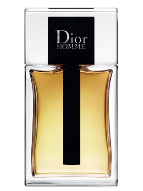 dior homme eau toilette|dior homme 2020 notes.